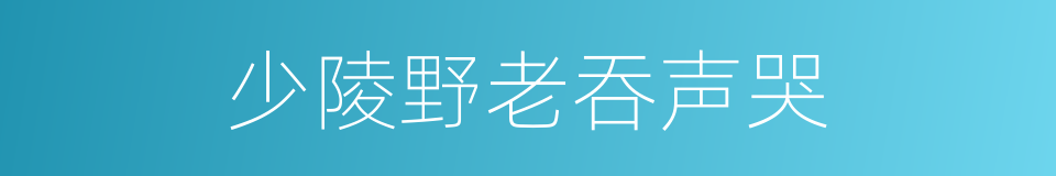 少陵野老吞声哭的同义词