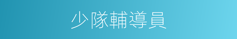 少隊輔導員的同義詞