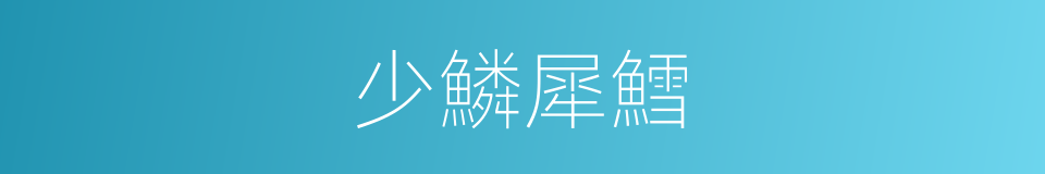 少鱗犀鱈的同義詞