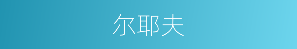 尔耶夫的同义词