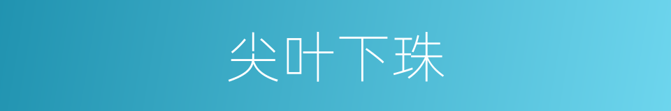 尖叶下珠的同义词