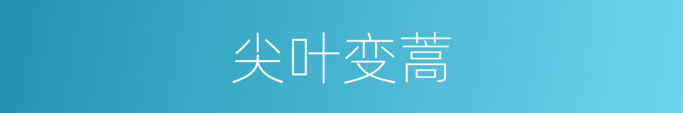 尖叶变蒿的同义词