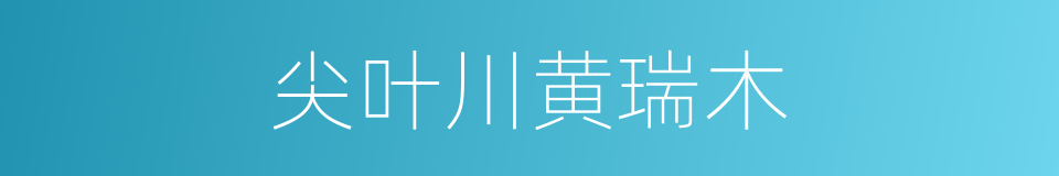 尖叶川黄瑞木的同义词