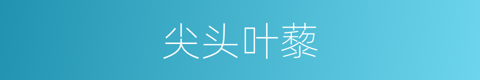尖头叶藜的同义词