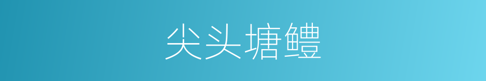 尖头塘鳢的同义词