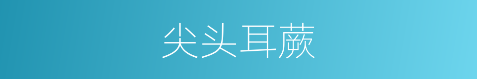 尖头耳蕨的同义词