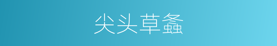 尖头草螽的同义词
