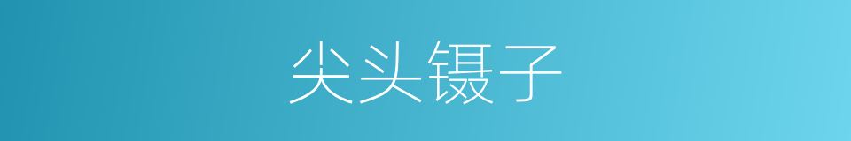 尖头镊子的同义词