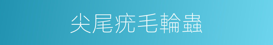 尖尾疣毛輪蟲的同義詞