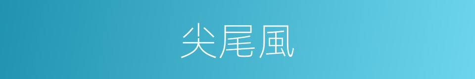 尖尾風的同義詞