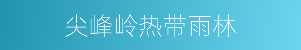 尖峰岭热带雨林的同义词