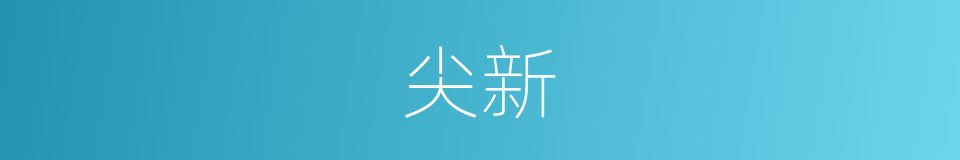 尖新的意思