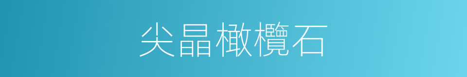 尖晶橄欖石的同義詞