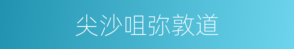 尖沙咀弥敦道的同义词