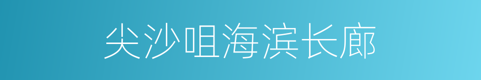 尖沙咀海滨长廊的同义词