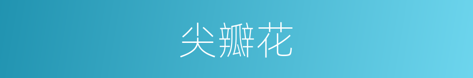 尖瓣花的同义词