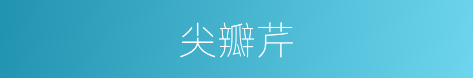 尖瓣芹的同义词