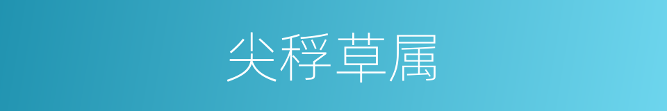 尖稃草属的同义词