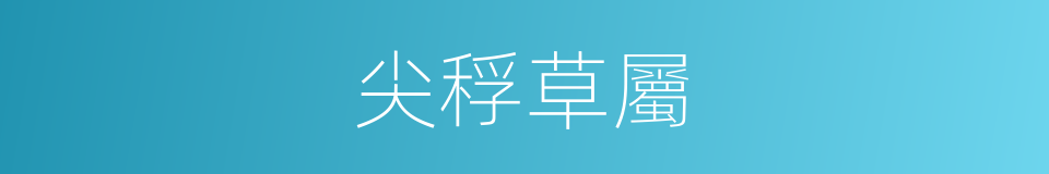 尖稃草屬的同義詞