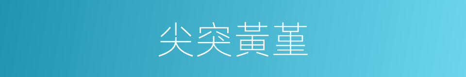 尖突黃堇的同義詞