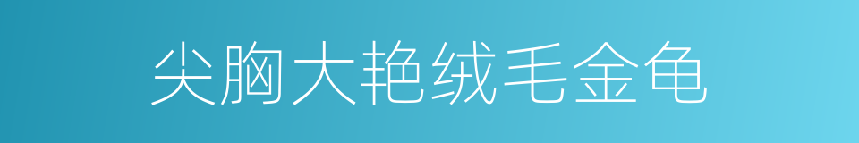 尖胸大艳绒毛金龟的同义词