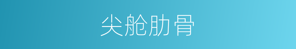 尖舱肋骨的同义词