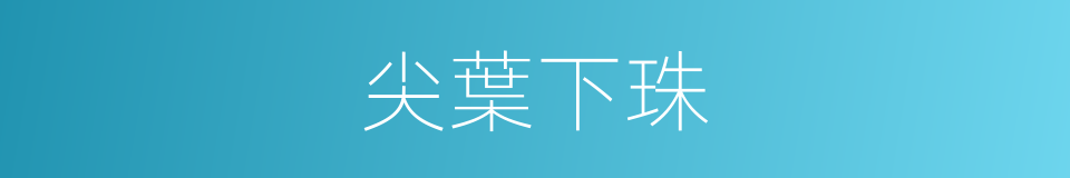 尖葉下珠的同義詞