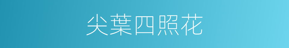 尖葉四照花的同義詞