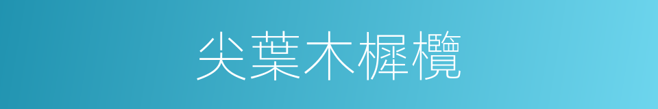 尖葉木樨欖的同義詞