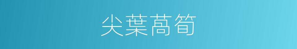 尖葉萵筍的同義詞