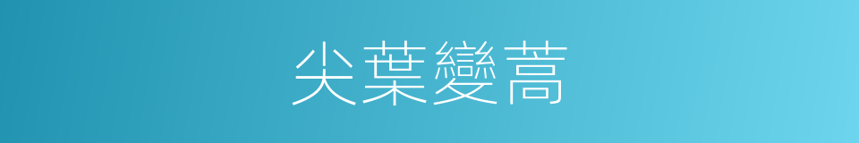 尖葉變蒿的同義詞