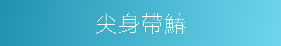 尖身帶鰆的同義詞