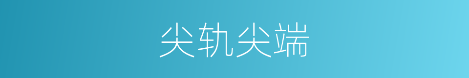 尖轨尖端的同义词