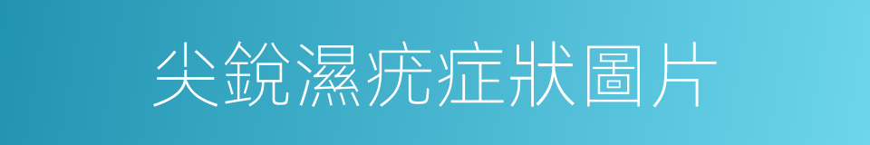 尖銳濕疣症狀圖片的同義詞