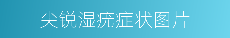 尖锐湿疣症状图片的同义词