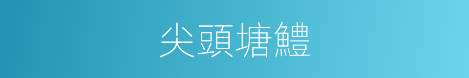 尖頭塘鱧的同義詞