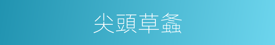 尖頭草螽的同義詞