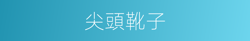 尖頭靴子的同義詞