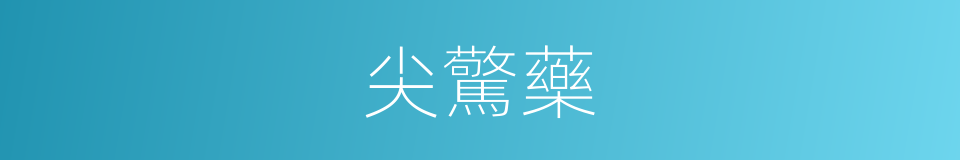 尖驚藥的同義詞