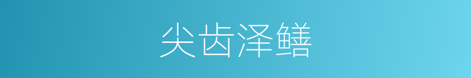 尖齿泽鳝的同义词