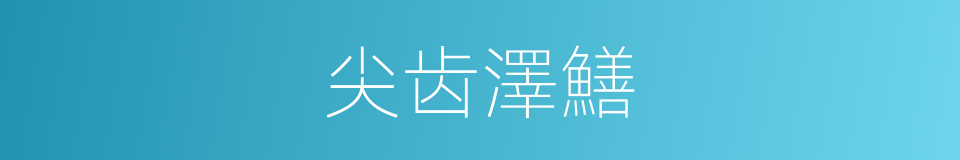 尖齿澤鱔的同義詞