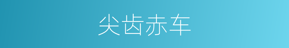 尖齿赤车的同义词