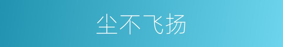 尘不飞扬的同义词