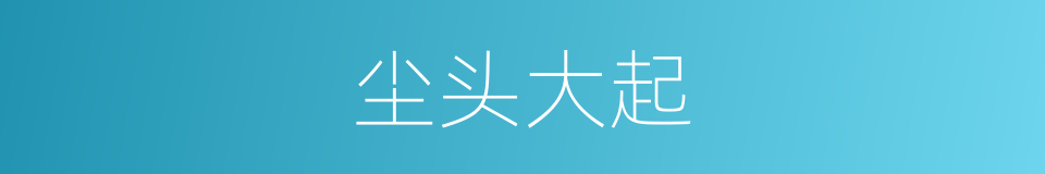尘头大起的意思