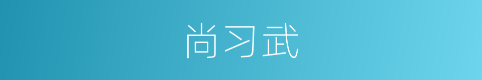 尚习武的同义词