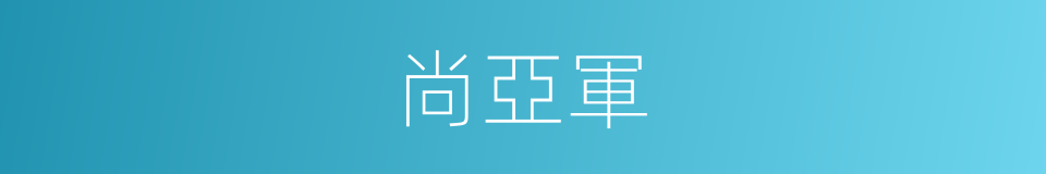 尚亞軍的同義詞
