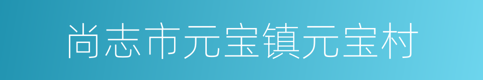 尚志市元宝镇元宝村的同义词