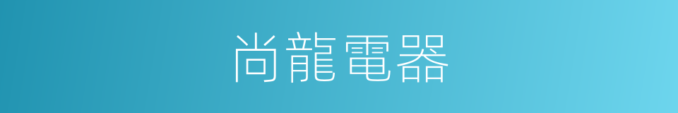 尚龍電器的同義詞