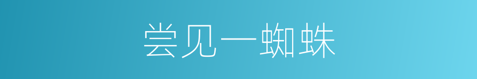 尝见一蜘蛛的同义词