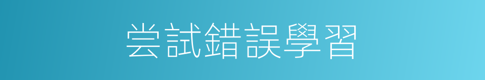 尝試錯誤學習的同義詞